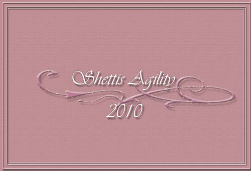 Shettis Agility 2010