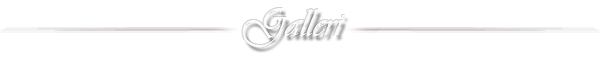 Galleri